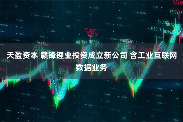 天盈资本 赣锋锂业投资成立新公司 含工业互联网数据业务