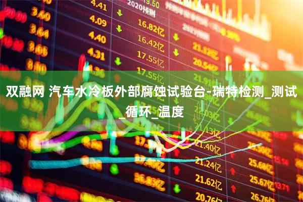 双融网 汽车水冷板外部腐蚀试验台-瑞特检测_测试_循环_温度