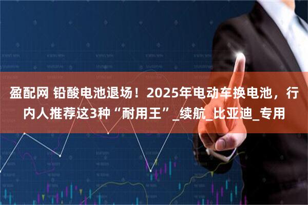 盈配网 铅酸电池退场！2025年电动车换电池，行内人推荐这3种“耐用王”_续航_比亚迪_专用