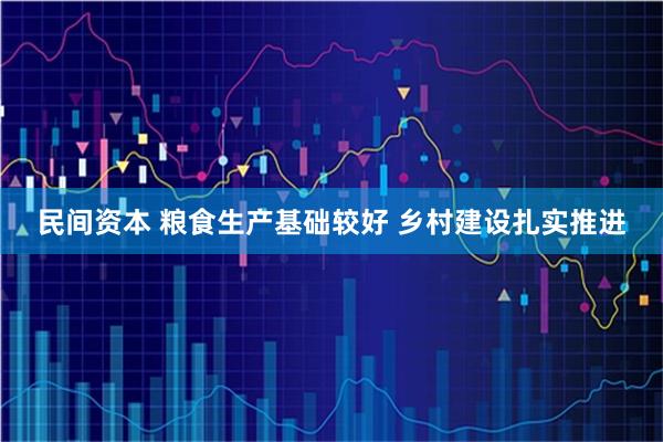 民间资本 粮食生产基础较好 乡村建设扎实推进