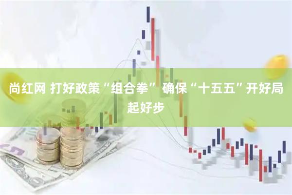 尚红网 打好政策“组合拳” 确保“十五五”开好局起好步