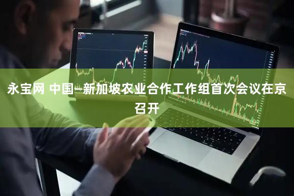 永宝网 中国—新加坡农业合作工作组首次会议在京召开