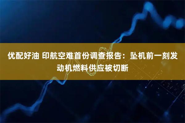 优配好油 印航空难首份调查报告：坠机前一刻发动机燃料供应被切断