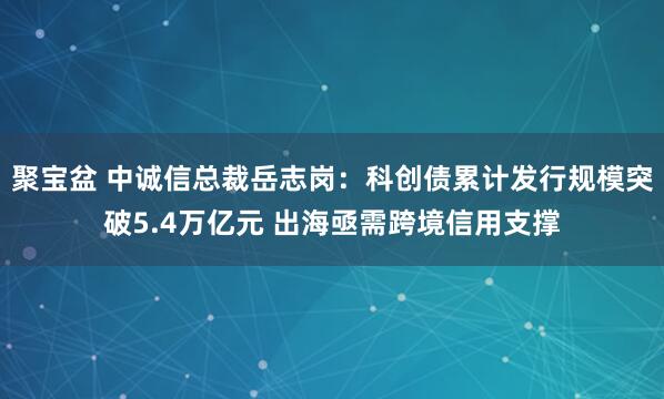 聚宝盆 中诚信总裁岳志岗：科创债累计发行规模突破5.4万亿元 出海亟需跨境信用支撑