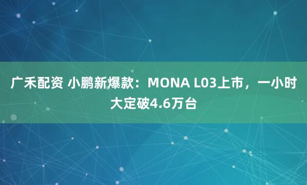 广禾配资 小鹏新爆款：MONA L03上市，一小时大定破4.6万台